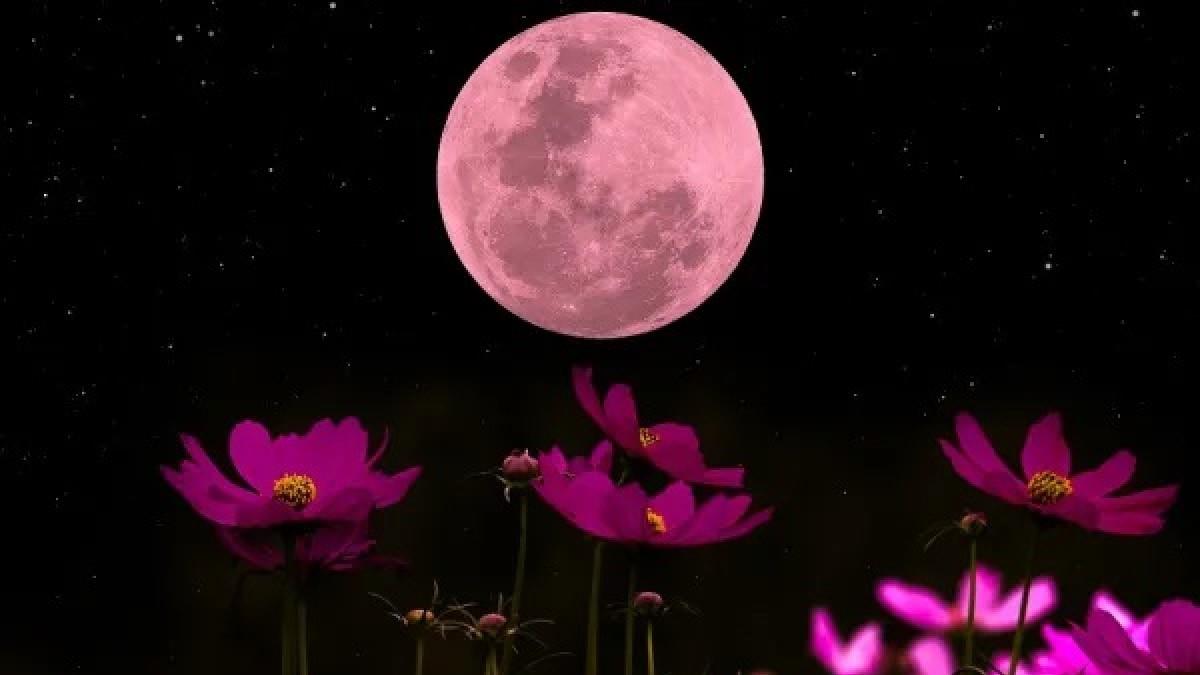 «Πασχαλινή πανσέληνος»: απόψε το φεγγάρι θα είναι ολόγιομο και ροζ!